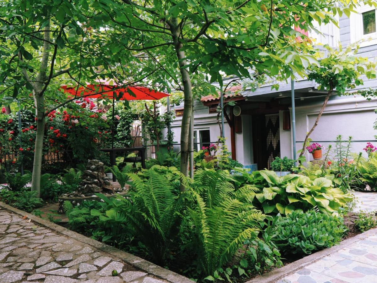 Casa de Vacanta Rodica Sulina Exterior foto