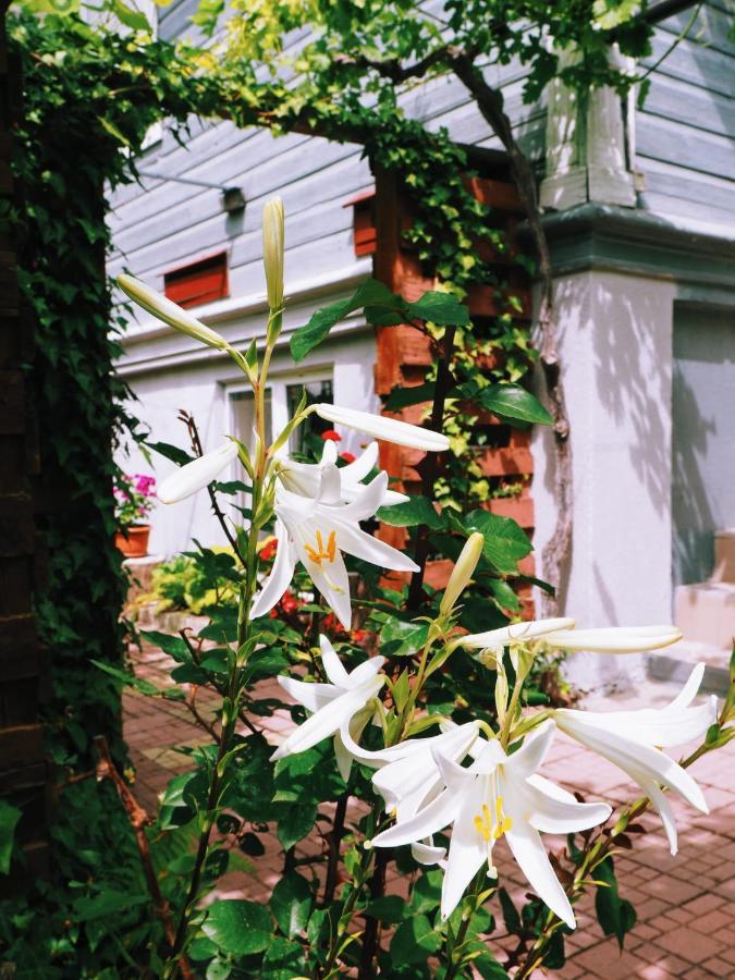 Casa de Vacanta Rodica Sulina Exterior foto